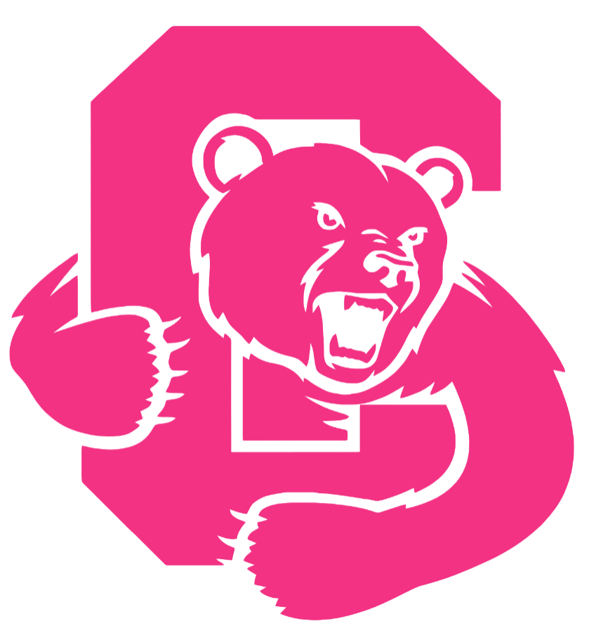 Cornell Big Red HOT PINK Team Logo Premium DieCut Vinyl Decal PICK SIZE