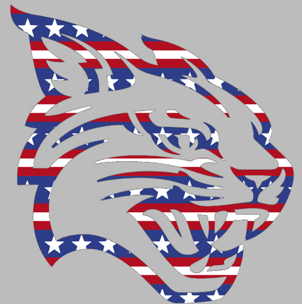 Davidson Wildcats Team Logo Stars & Stripes USA American Flag Vinyl Decal PICK SIZE