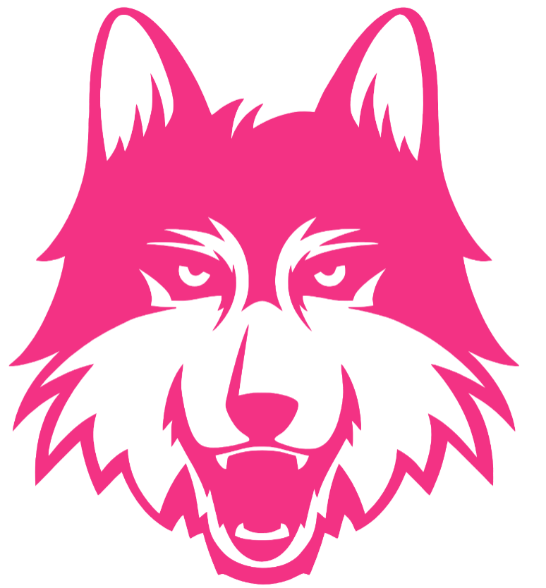 Loyola Chicago Ramblers HOT PINK Mascot Logo Premium DieCut Vinyl Decal PICK SIZE