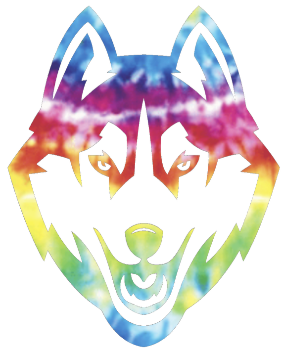 UConn Huskies Team Logo Crucial Catch Cancer Tie Dye Vinyl Decal PICK SIZE