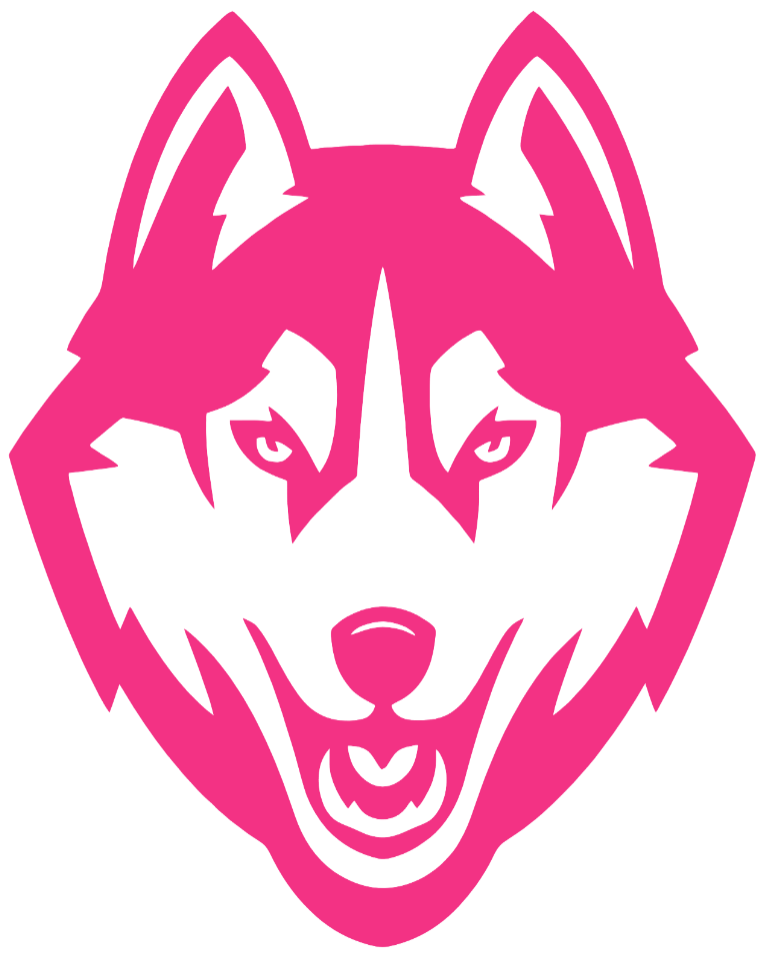 UConn Huskies HOT PINK Team Logo Premium DieCut Vinyl Decal PICK SIZE