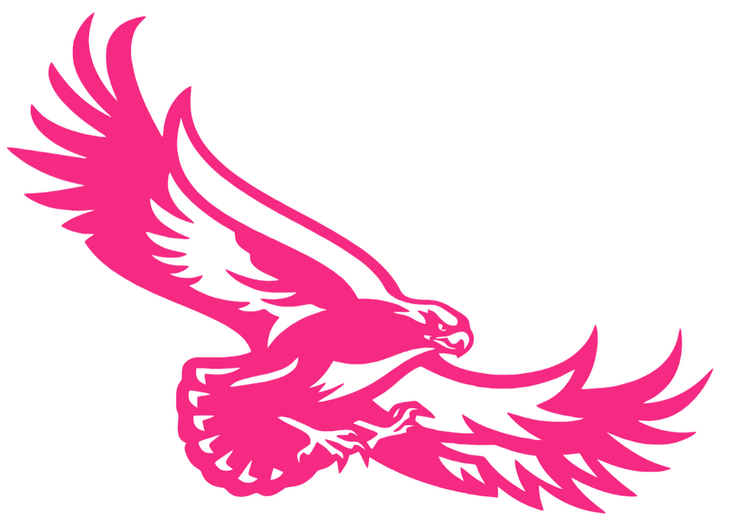 St Joseph Hawks HOT PINK Team Logo Premium DieCut Vinyl Decal PICK SIZE