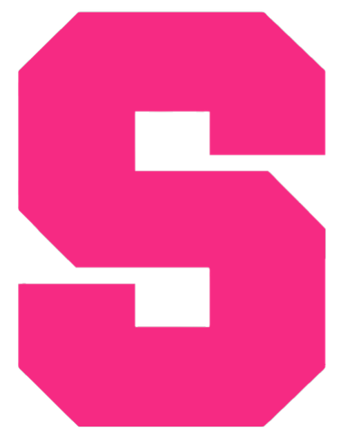 Syracuse Orange HOT PINK Team Logo Premium DieCut Vinyl Decal PICK SIZE