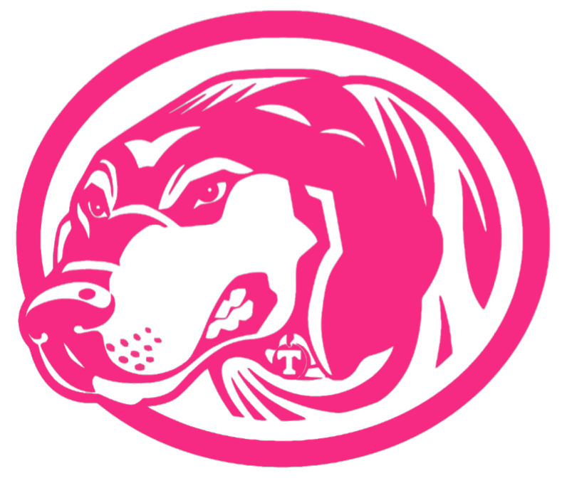 Tennessee Volunteers HOT PINK Smokey Mascot Logo Premium DieCut Vinyl Decal PICK SIZE