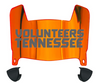 Tennessee Volunteers Mini Football Helmet Visor Shield w/ Clips - PICK VISOR & LOGO COLOR