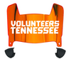 Tennessee Volunteers Mini Football Helmet Visor Shield w/ Clips - PICK VISOR & LOGO COLOR