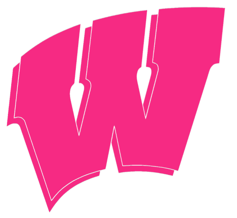 Wisconsin Badgers HOT PINK Team Logo Premium DieCut Vinyl Decal PICK SIZE