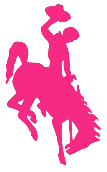 Wyoming Cowboys HOT PINK Team Logo Premium DieCut Vinyl Decal PICK SIZE