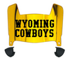 Wyoming Cowboys Mini Football Helmet Visor Shield w/ Clips - PICK VISOR & LOGO COLOR