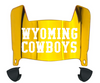 Wyoming Cowboys Mini Football Helmet Visor Shield w/ Clips - PICK VISOR & LOGO COLOR