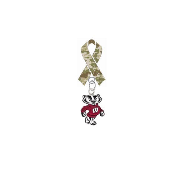 Wisconsin Badgers Mascot Salute to Service Military Appreciation Camo Ribbon Lapel Pin